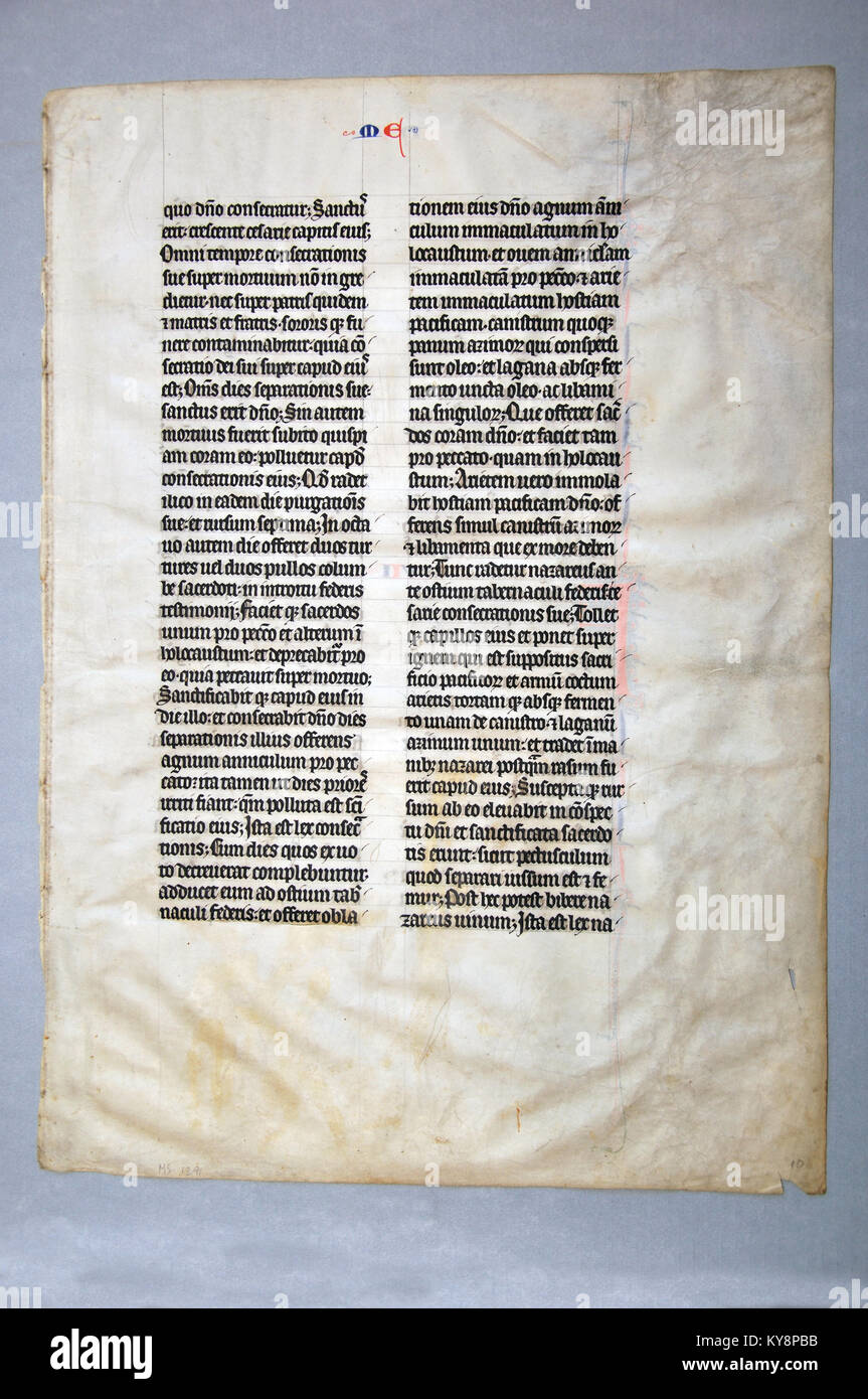 Seite aus dem 14. Jahrhundert lateinischen Vulgata Bibel, in Nordeuropa auf Pergament geschrieben. (Fragment 11) Vom Reed Seltene Bücher Sammlung in Dunedin, Neuseeland. Stockfoto