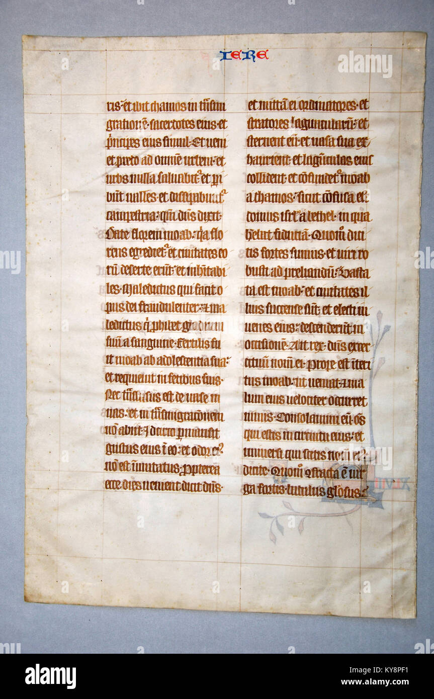 Seite aus dem 14. Jahrhundert lateinischen Vulgata Bibel (Buch Jeremia) in England auf Pergament geschrieben. (Fragment 13) Vom Reed Seltene Bücher Sammlung in Dunedin, Neuseeland. Stockfoto