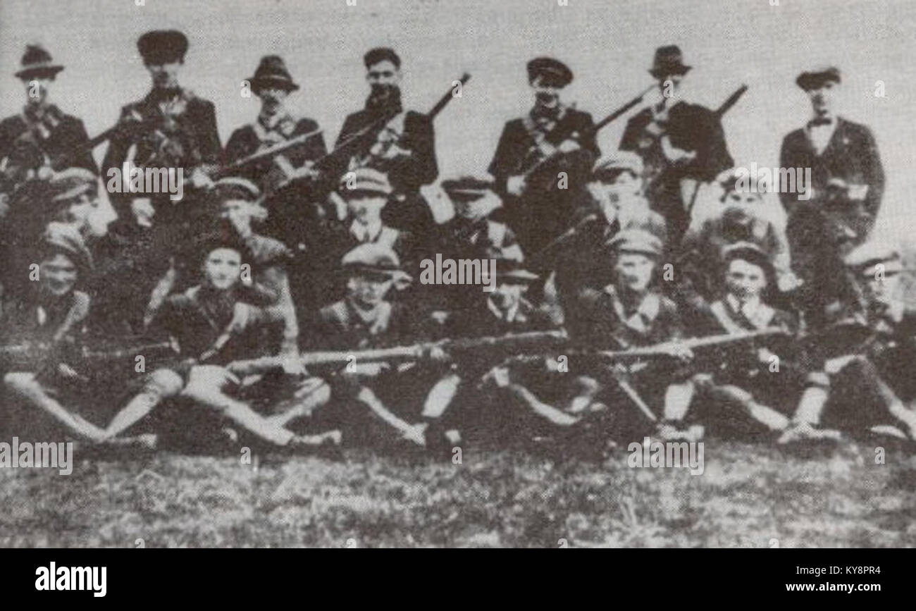 Foto von S. Hogan von der Flying Column No. 2, Teil der 3. Tipperary Brigade der IRA, aufgenommen 1921 während des irischen Unabhängigkeitskrieges. Stockfoto