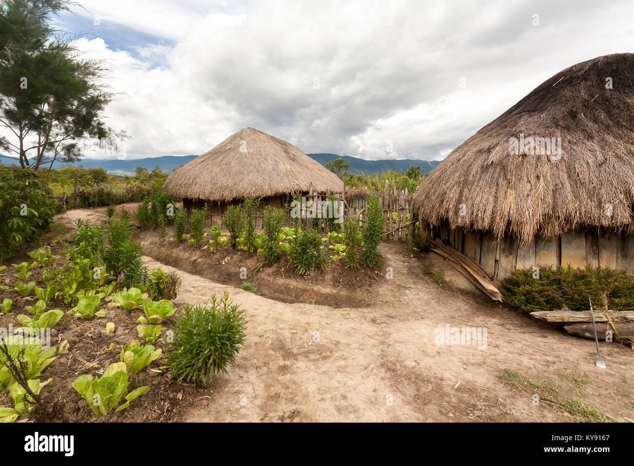 Traditionelle Dani Dorf. Kleines Dorf in Papua Neuguinea, Wamena im Baliem Tal. Stockfoto