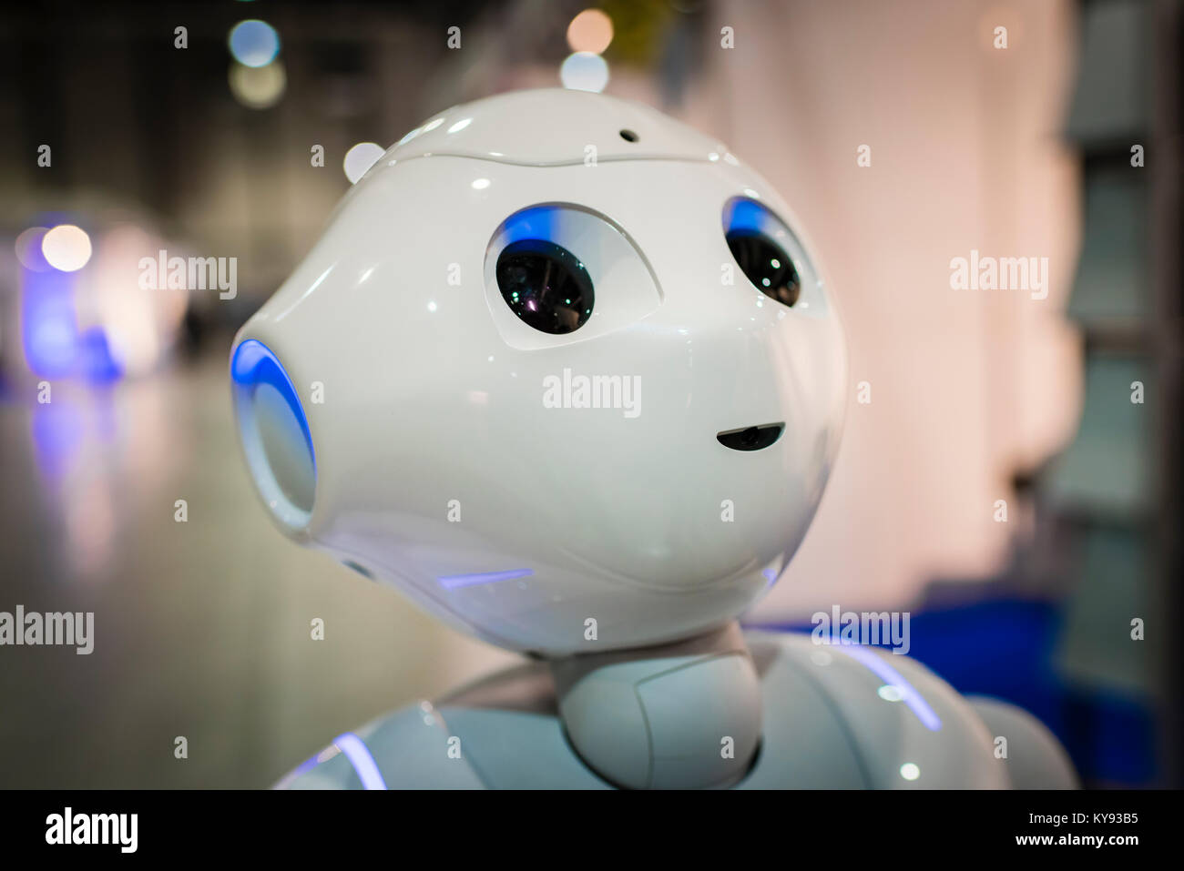 Luzern, Schweiz - 2 Dec 2017: Humanoide Roboter 'Pfeffer', am Schweizer  Handicap Messe in Luzern, Schweiz, demonstriert Stockfotografie - Alamy