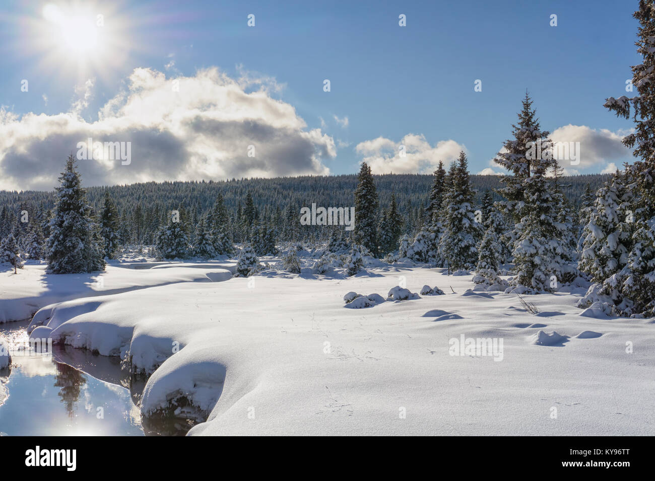 Winter Berglandschaft mit Stream und Holzbrücke. Bäume und die Sonne im Wasser spiegelt. Isergebirge, Tschechien, Europa. Stockfoto