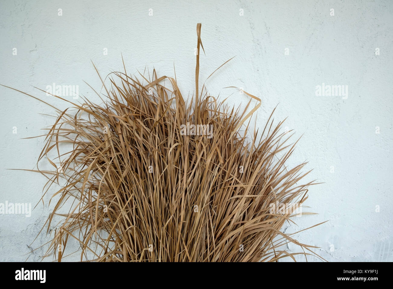 Trockenes Gras auf grauem Hintergrund Wand Stockfotografie
