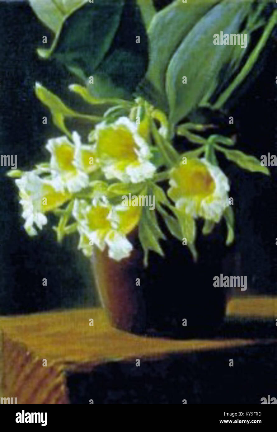 Emil Spans Orchideengemälde um 1910 zeigt sein Können, die zarte Schönheit der Natur einzufangen und die komplizierten Details der Blumen in einem botanischen Kunstwerk zu betonen. Stockfoto