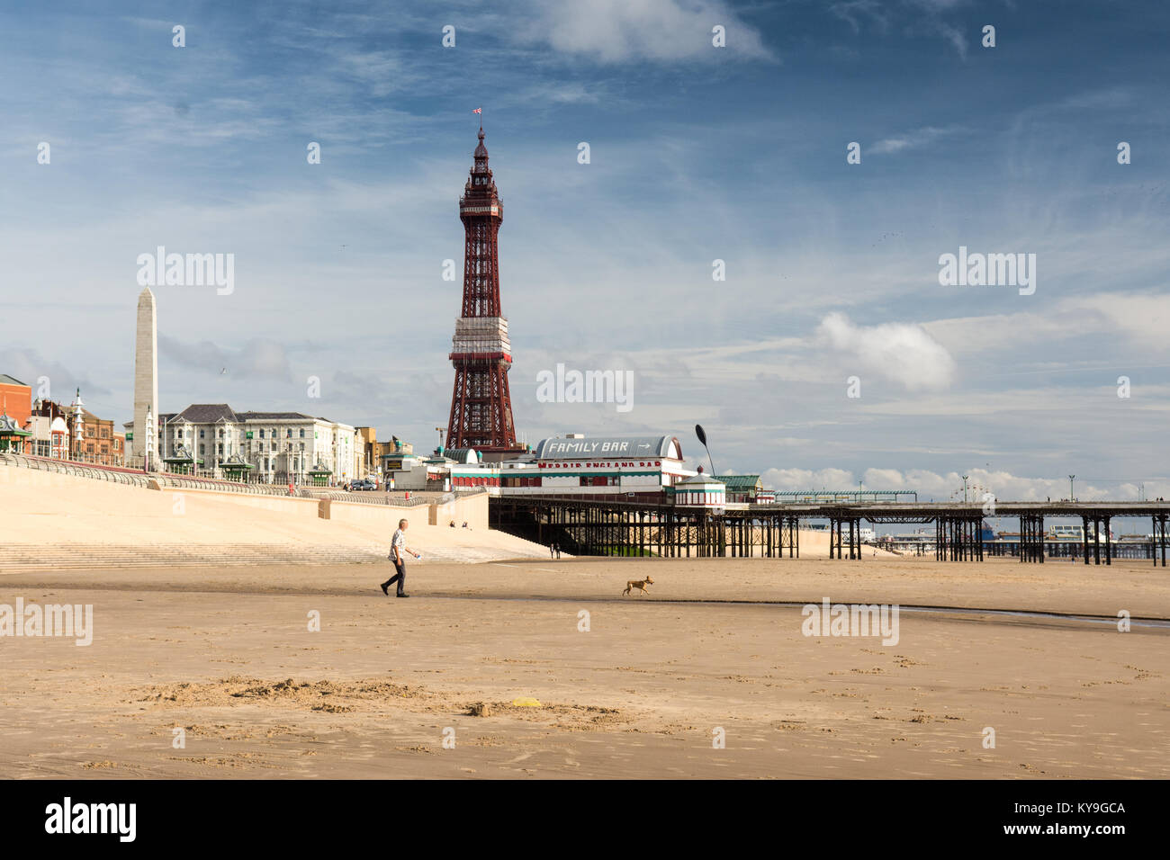 Blackpool, England, Großbritannien - 1 August 2015: ein Mann einen Hund auf den sand Strand von Blackpool, unter dem ikonischen Blackpool Tower und Blackpool North Pier o Stockfoto