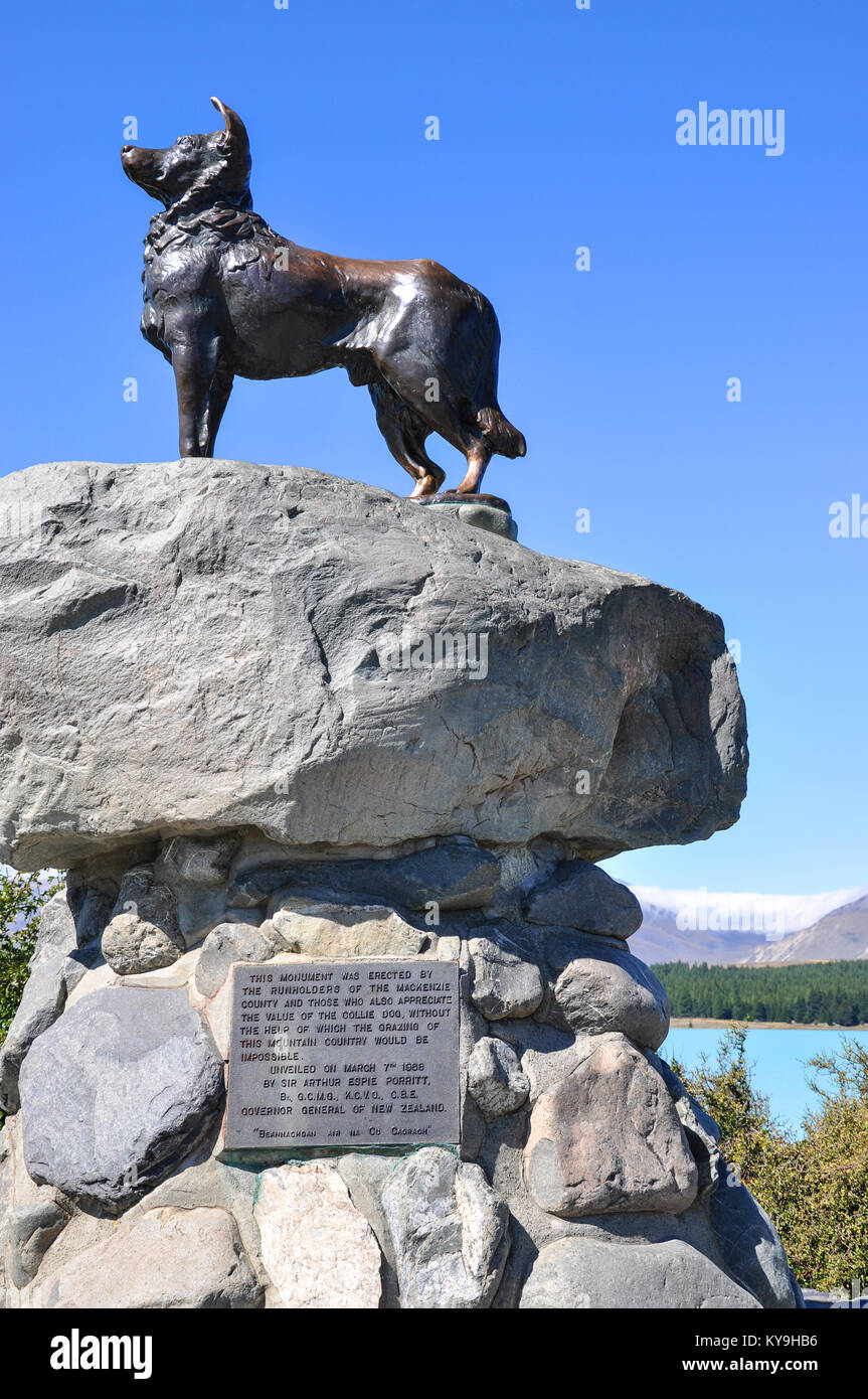 Am Lake Tekapo ist eine bekannte Bronzestatue einer Neuseeland Collie Schäferhund. Die Statue wurde von Mackenzie Land Bewohner in Betrieb genommen Stockfoto