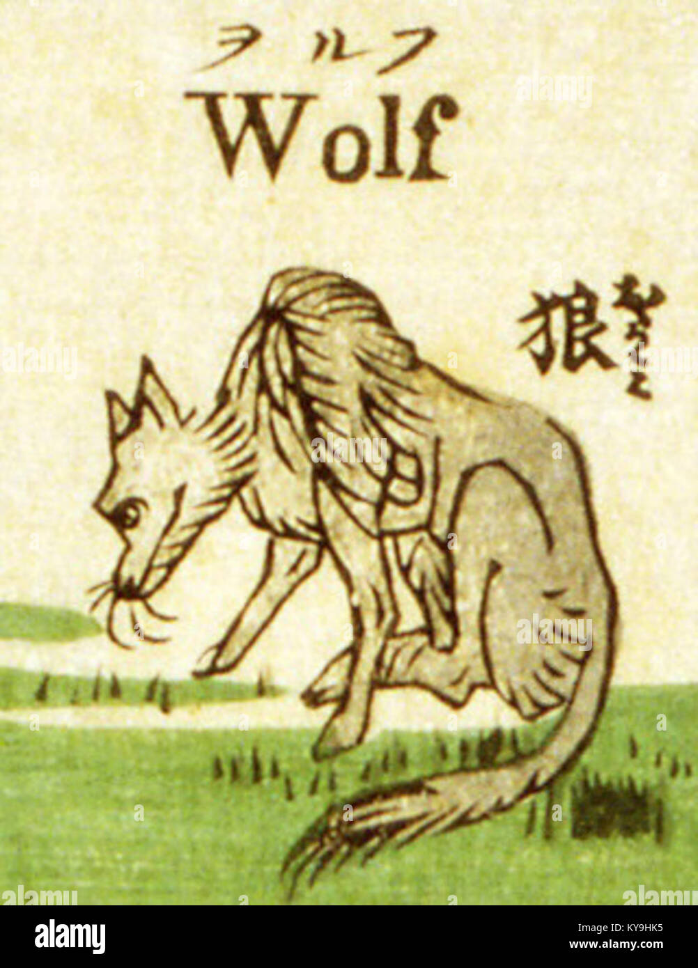 Tsunajima Kamekichi, modische Melange aus Wörtern der englischen Sprache, 1887 (Wolf) Stockfoto