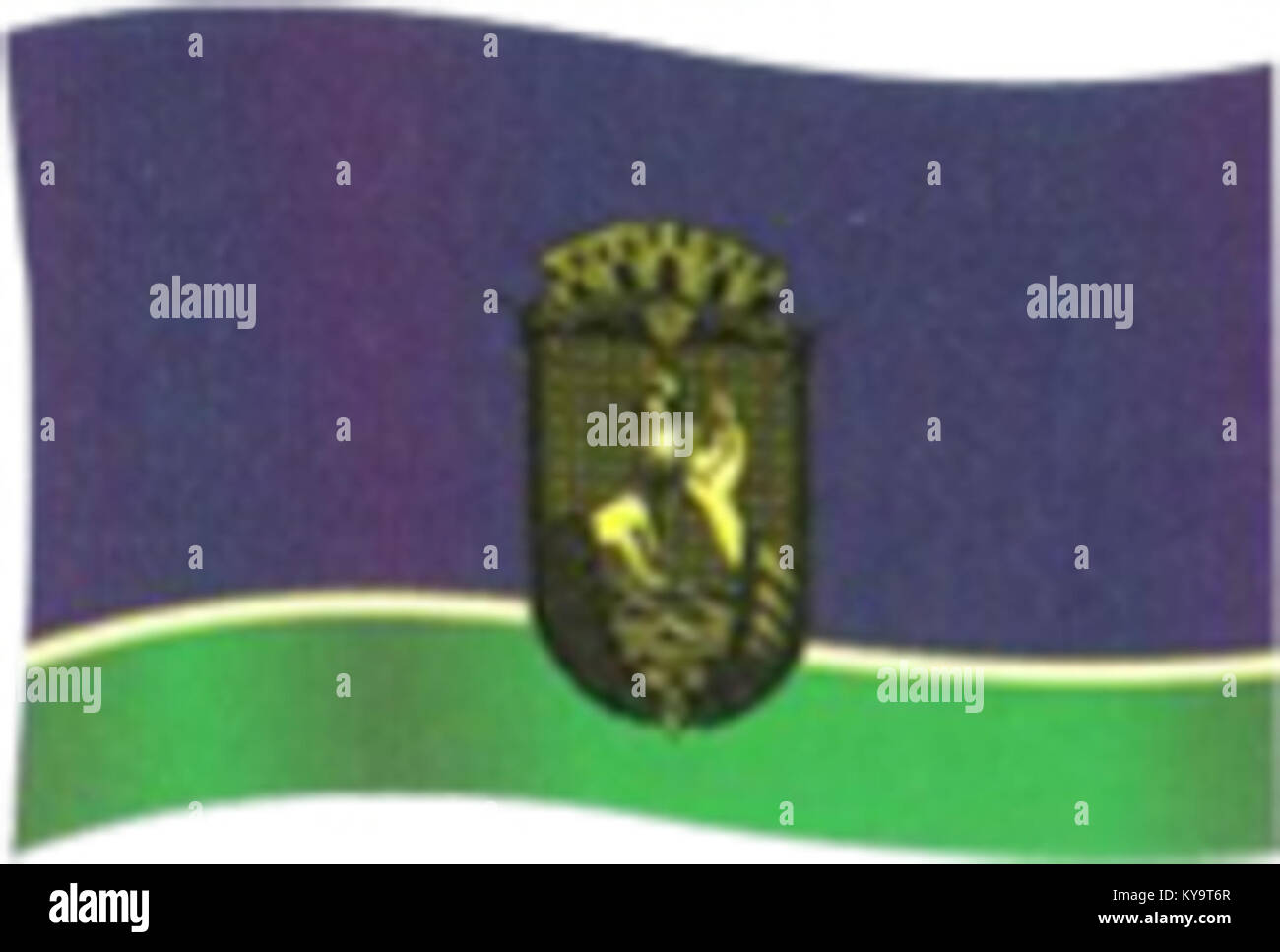 Die Flagge von São Gabriel da Cachoeira in Amazonas, Brasilien, symbolisiert lokale Identität, kulturelles Erbe und Verbindung zu indigenen Gemeinschaften und repräsentiert den Stolz der Stadt und regionale Bedeutung. Stockfoto