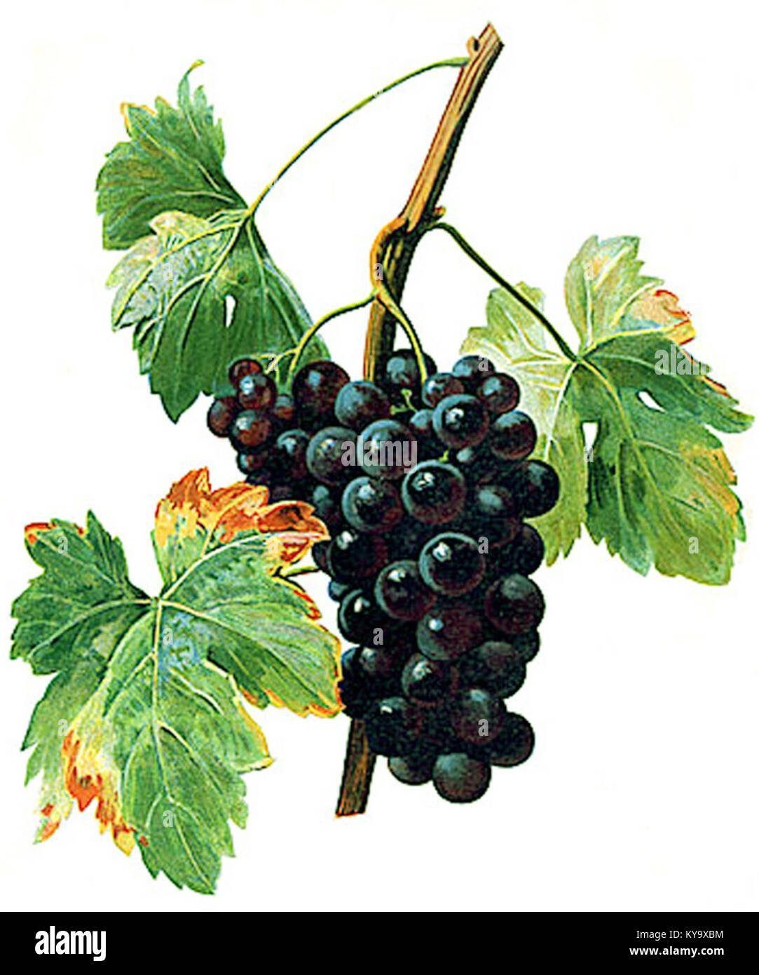 Das Kunstwerk des französischen Künstlers Mat Noir zeigt markante, minimalistische Designelemente, die typisch für abstrakte Kunst des frühen 20. Jahrhunderts sind. Stockfoto