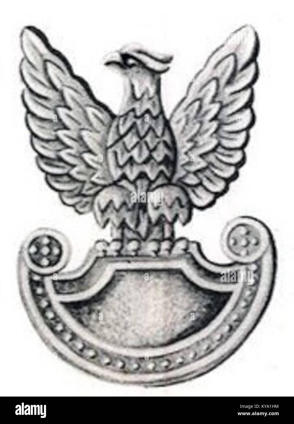 Dieses Bild zeigt ein Metallemblem der Polnischen Volksarmee (LWP), das militärische Insignien und nationale Symboliken des 20. Jahrhunderts repräsentiert. Stockfoto