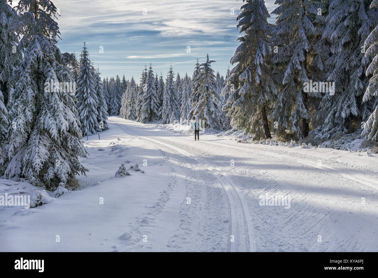 Straße in den Bergen im Winter im sonnigen Tag mit Single cross country skier. Bäume mit Raureif von der Sonne beleuchtet. Präparierte Loipe. Stockfoto