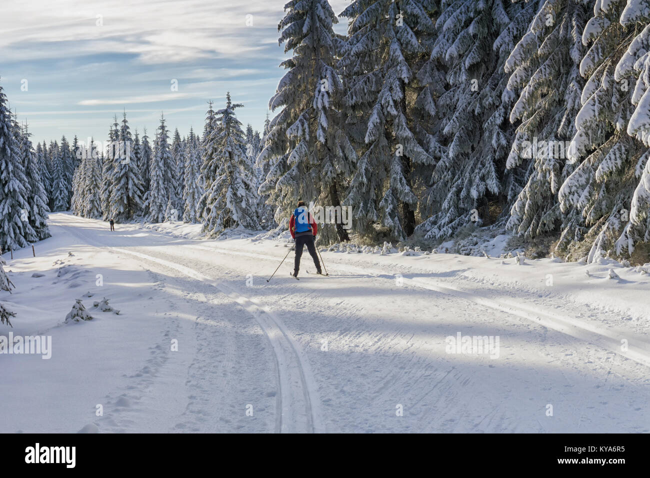 Straße in den Bergen im Winter im sonnigen Tag und Langläufer. Bäume mit Raureif von der Sonne beleuchtet. Gespurte Loipen. Stockfoto