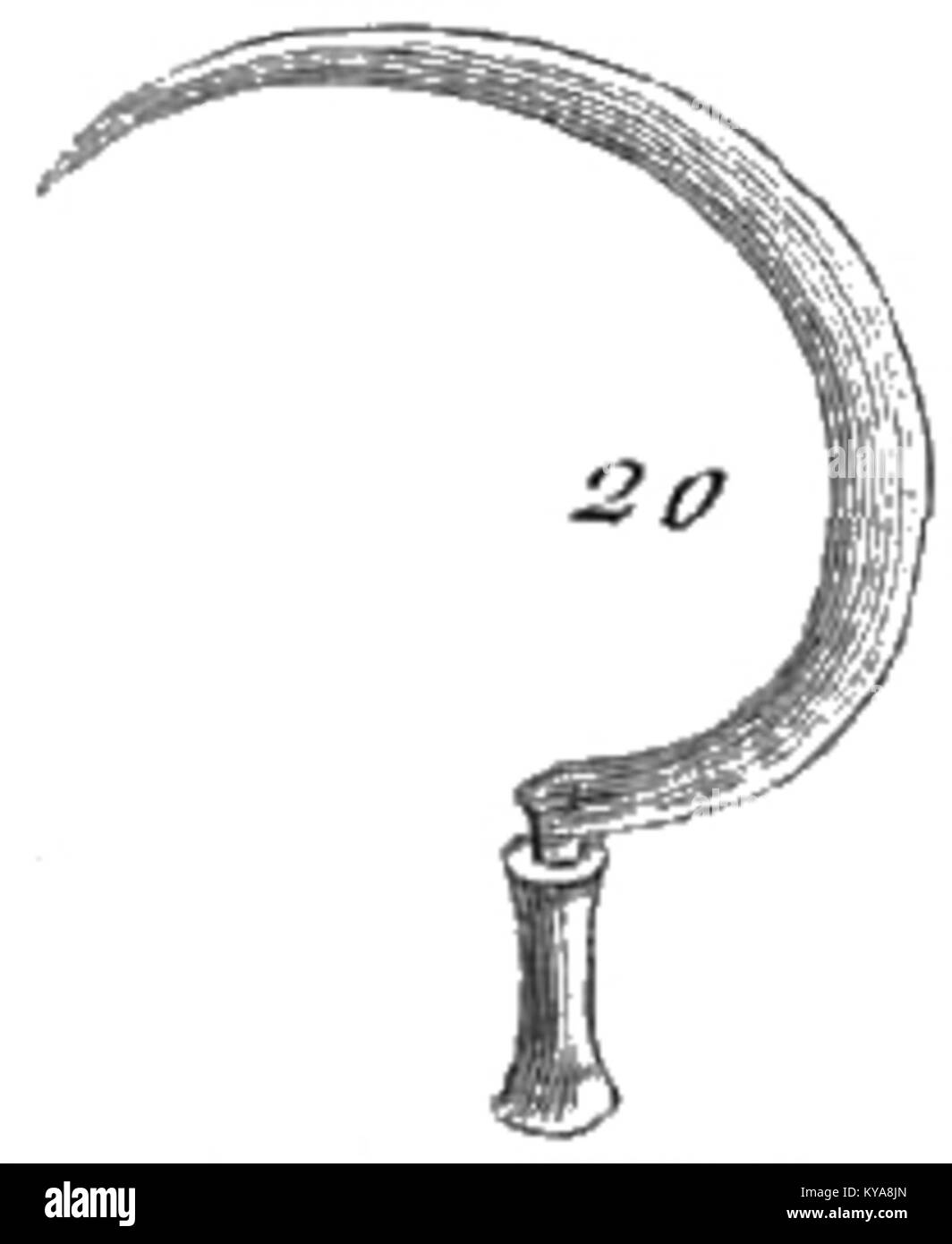 Illustration aus Roziers *Cours d'Agriculture*, Band 7, zeigt landwirtschaftliche Techniken und landwirtschaftliche Praktiken des 18. Jahrhunderts in Frankreich. Stockfoto