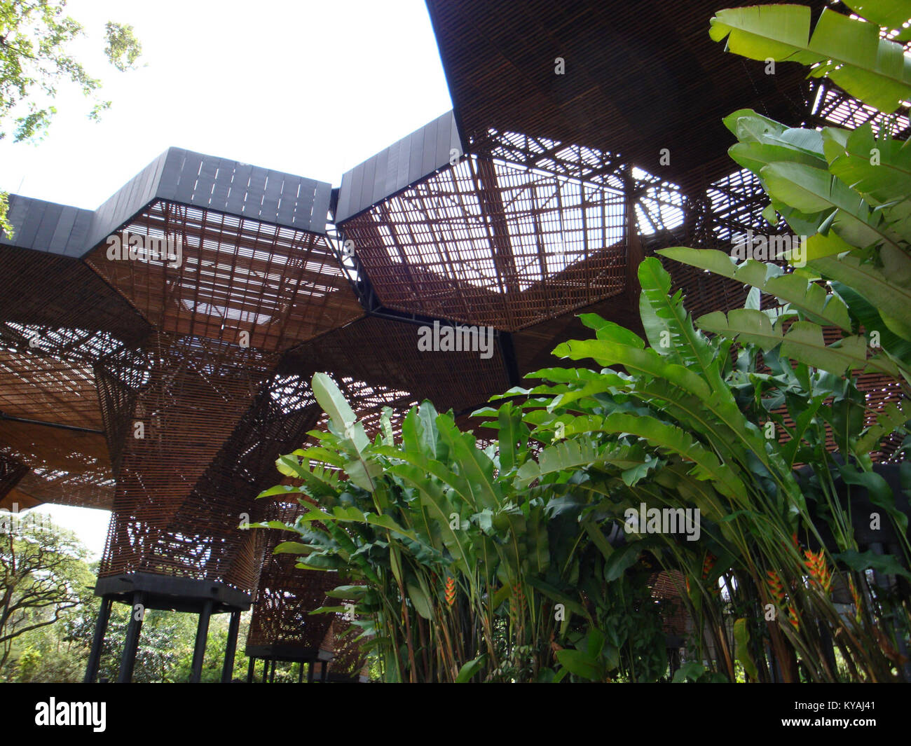 Orquideorama. Holzdecke für die Anzeige von Orchideen, Medellín Stockfoto