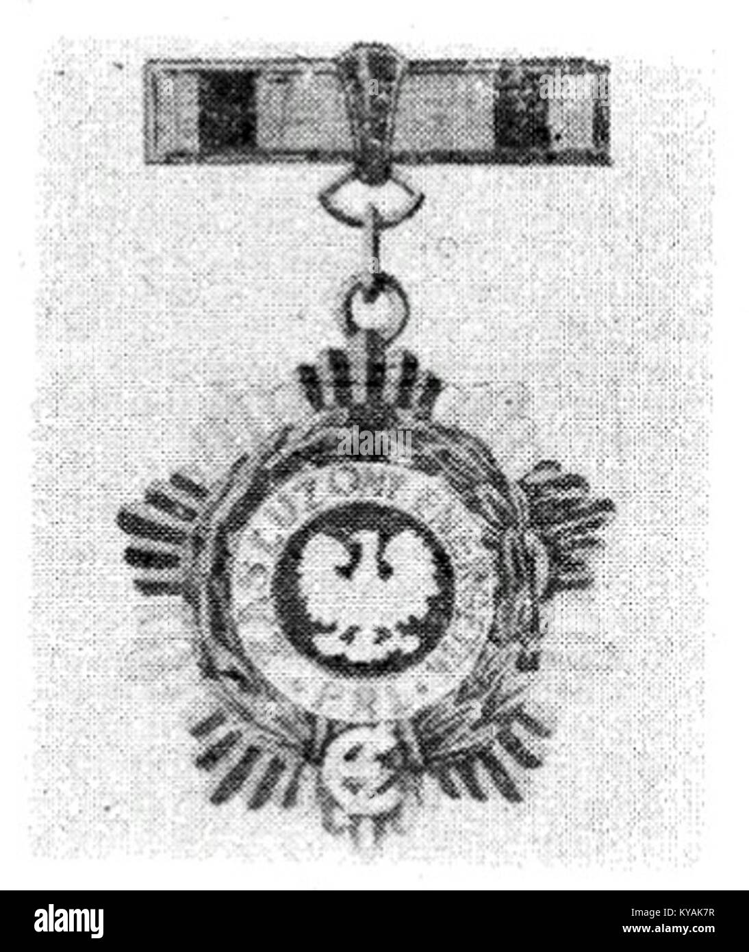 Die Zasłużony Energetyk ist eine polnische Medaille, die 1985 zur Auszeichnung von Einzelpersonen für ihre herausragenden Beiträge im Energiesektor gegründet wurde. Die Auszeichnung zeichnet diejenigen aus, die die polnische Energiewirtschaft und ihre Entwicklung erheblich vorangetrieben haben. Stockfoto