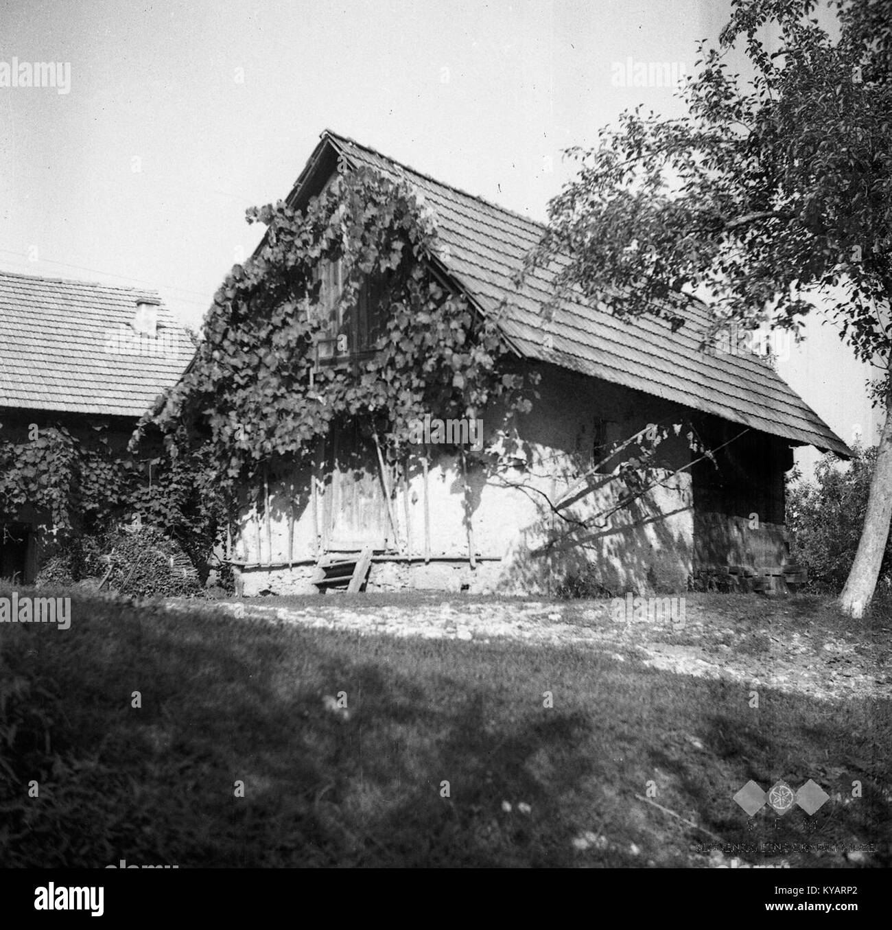 Foto aus dem Jahr 1950 mit einer Fachwerkscheune („kašča“) in St. Pavel, Slowenien, die traditionelle ländliche Architektur zeigt. Stockfoto