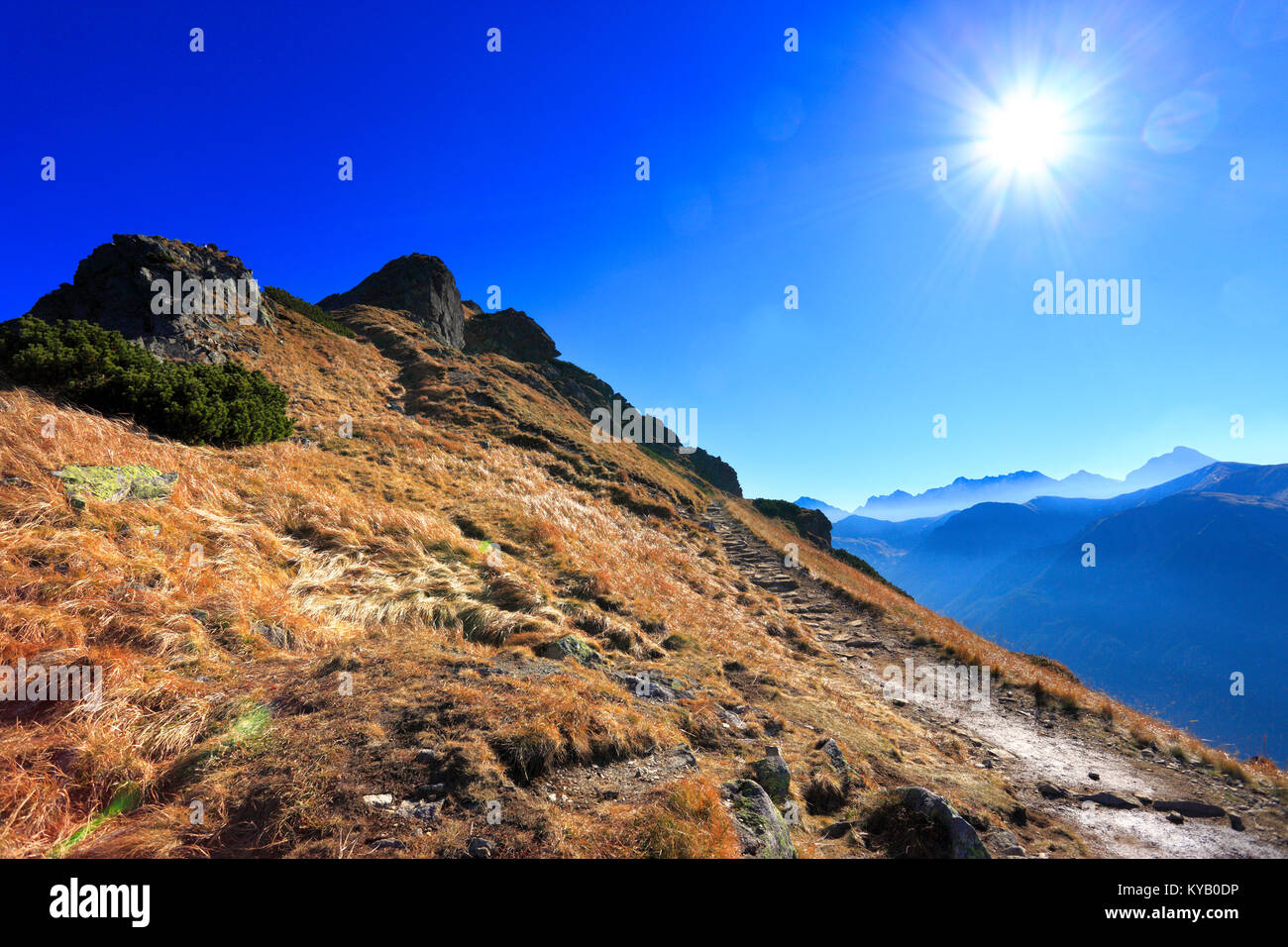 Polen, Tatra, Zakopane - Posredni Wierch Goryczkowy Peak mit Hohen Tatra im Hintergrund Stockfoto
