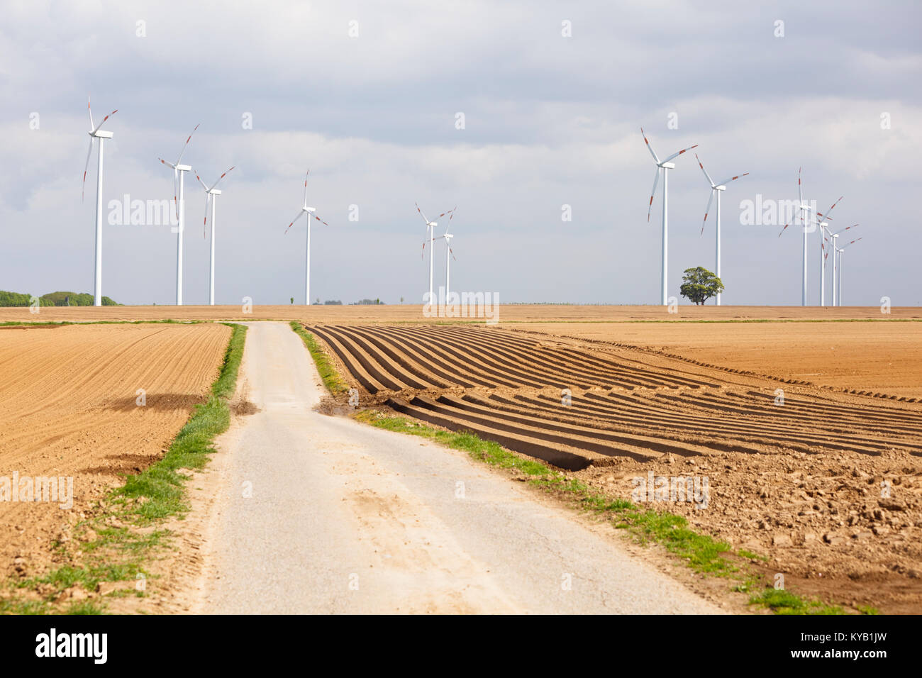 Eine Reihe von Windenergieanlagen in der landwirtschaftlichen Landschaft mit einem einzelnen Baum und ein Weg, der zu ihnen führt. Stockfoto