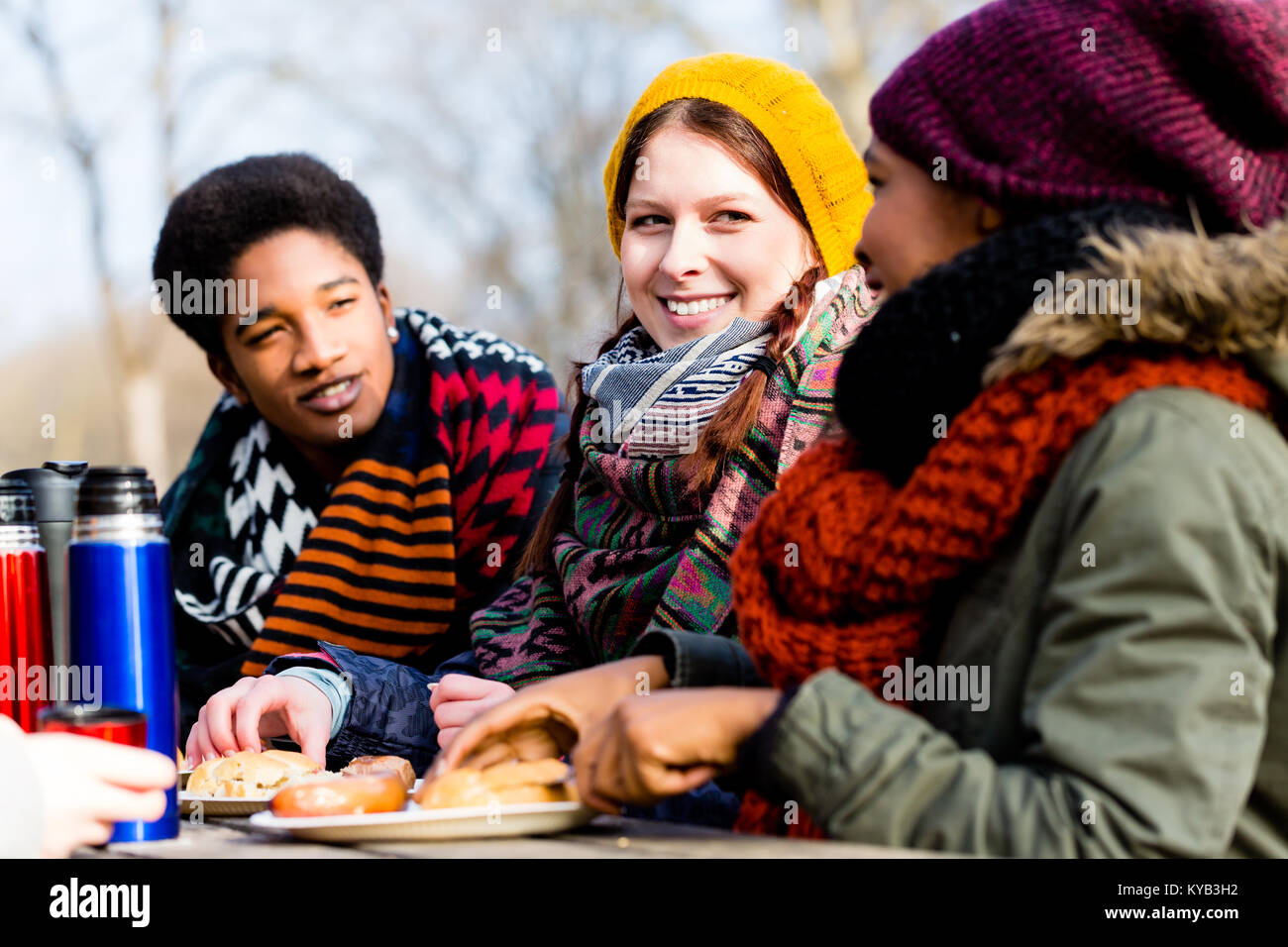 Junge Freunde reden Picknick im Freien im Park Stockfoto