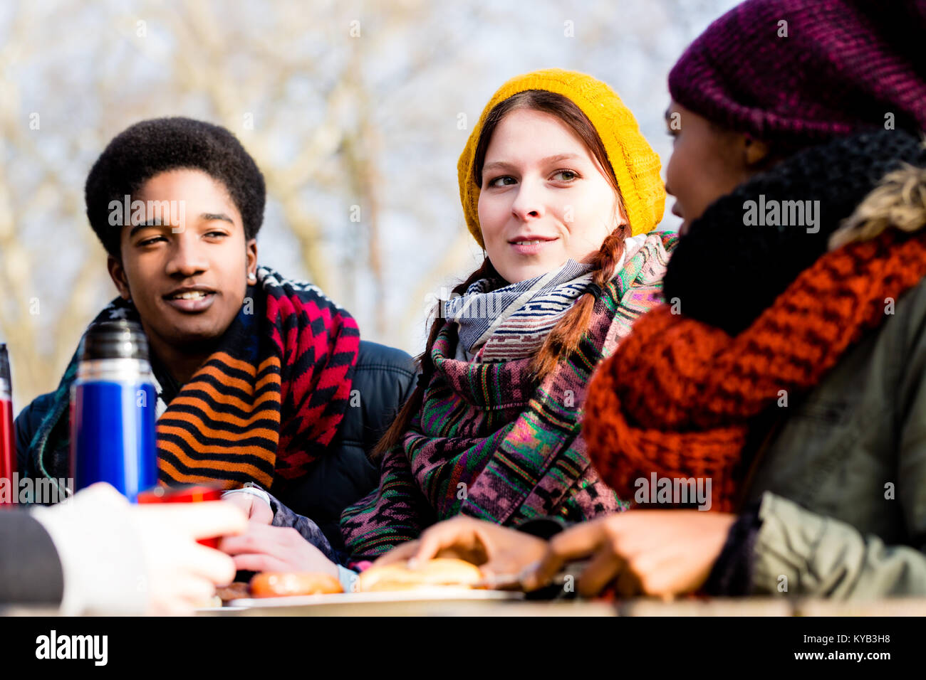 Junge Freunde reden Picknick im Freien im Park Stockfoto