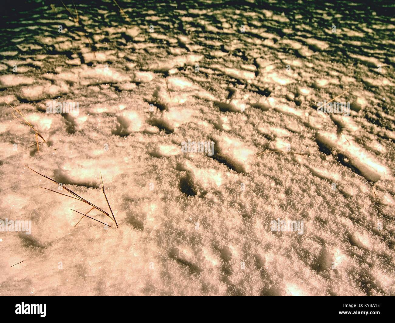 Suche nach Person im Winter Landschaft verschwunden. Das schwache Licht der Scheinwerfer leuchtet auf menschliche Fußspuren im tiefen Schnee. Stockfoto