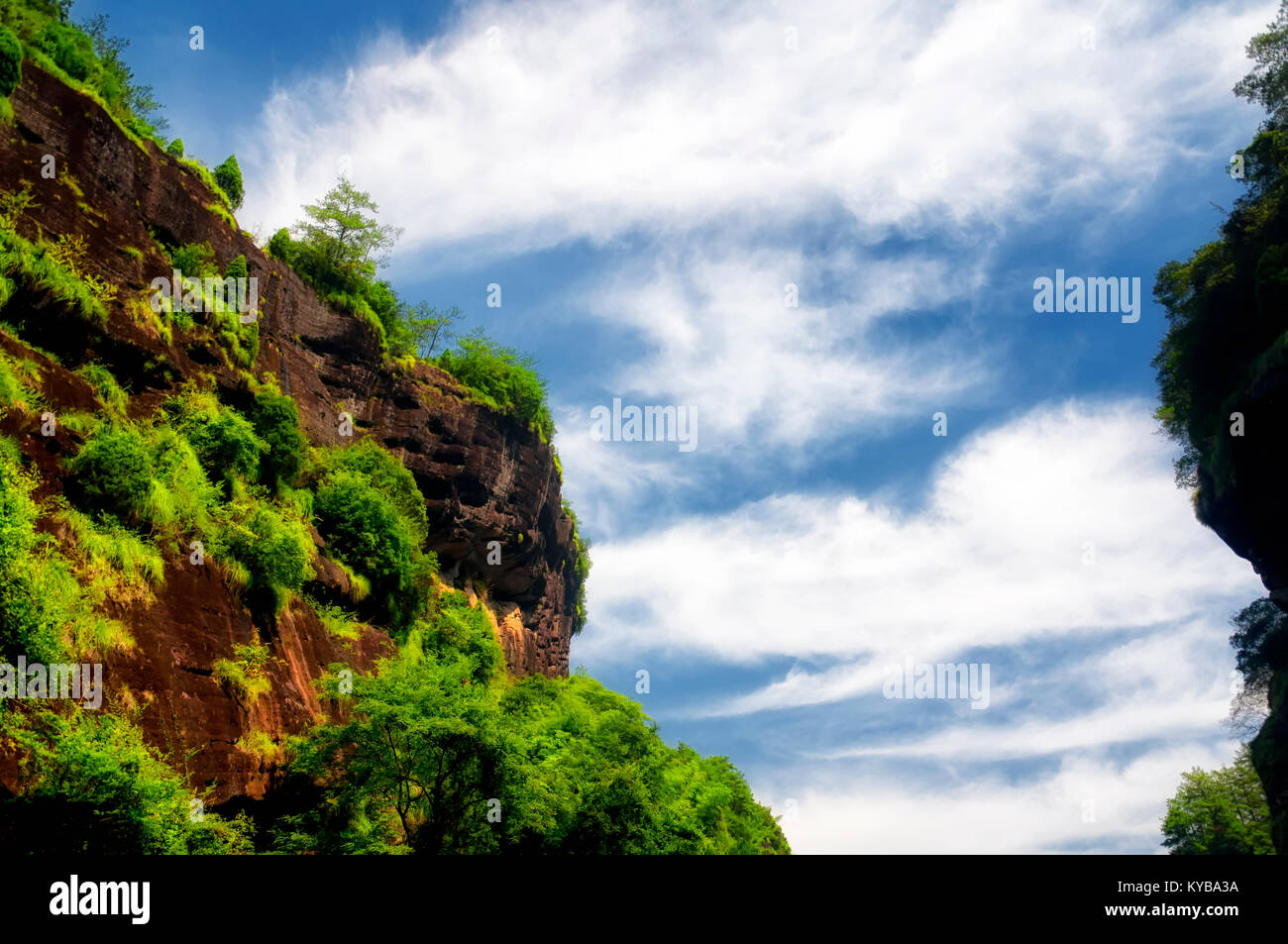 Bäume und Felsen steigen über den dahongpao Cha, große rote robe Tee, China Fuzhou in der Provinz Fujian. Stockfoto