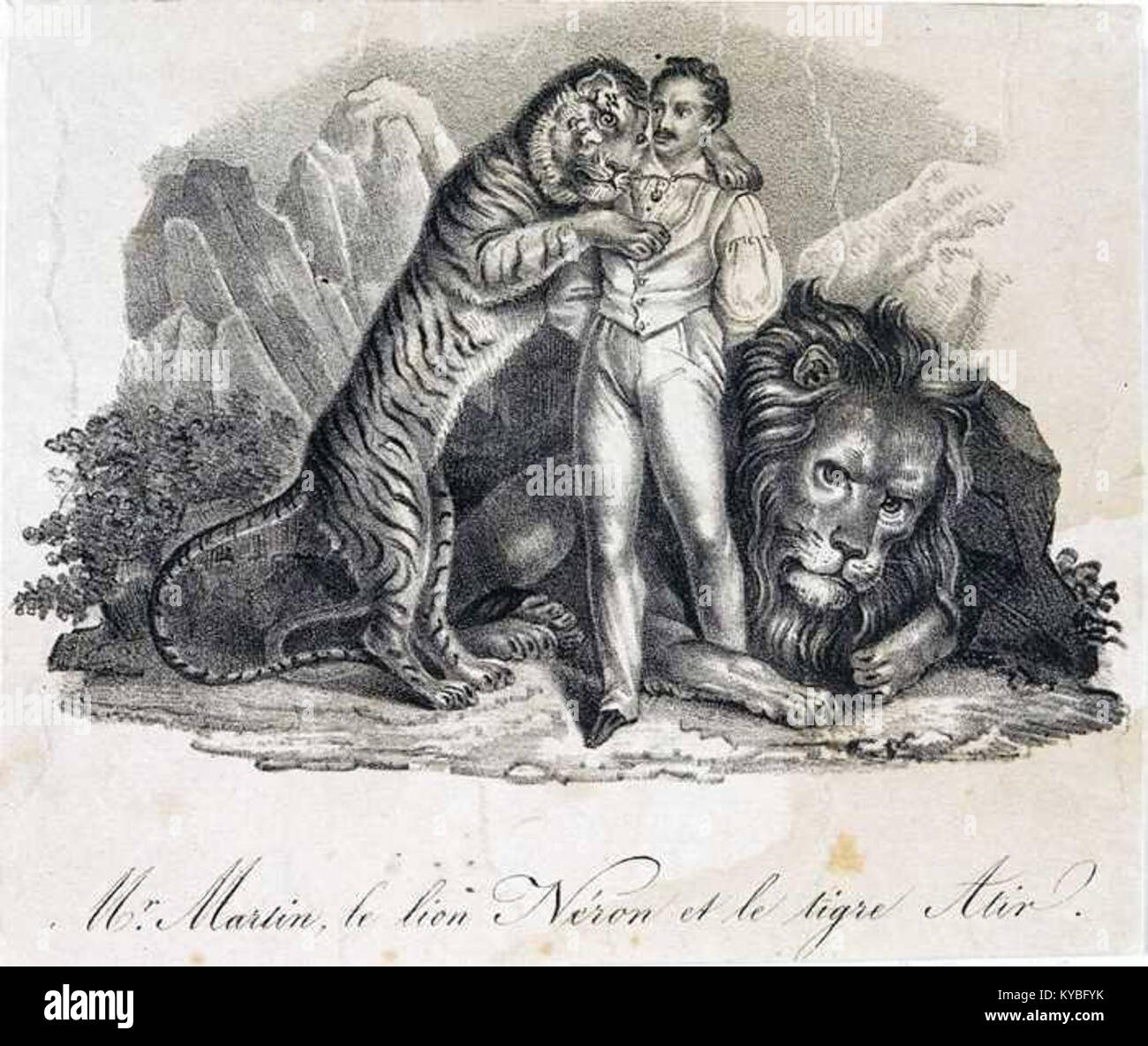Die Abbildung „Herr Martin le Lion Néron et le tigre Atir“ zeigt den Löwen Néron und Tiger Atir in einer dramatischen Begegnung und hebt die Anatomie der Tiere, die Haltung und die erzählerische Spannung zwischen den Arten hervor. Stockfoto