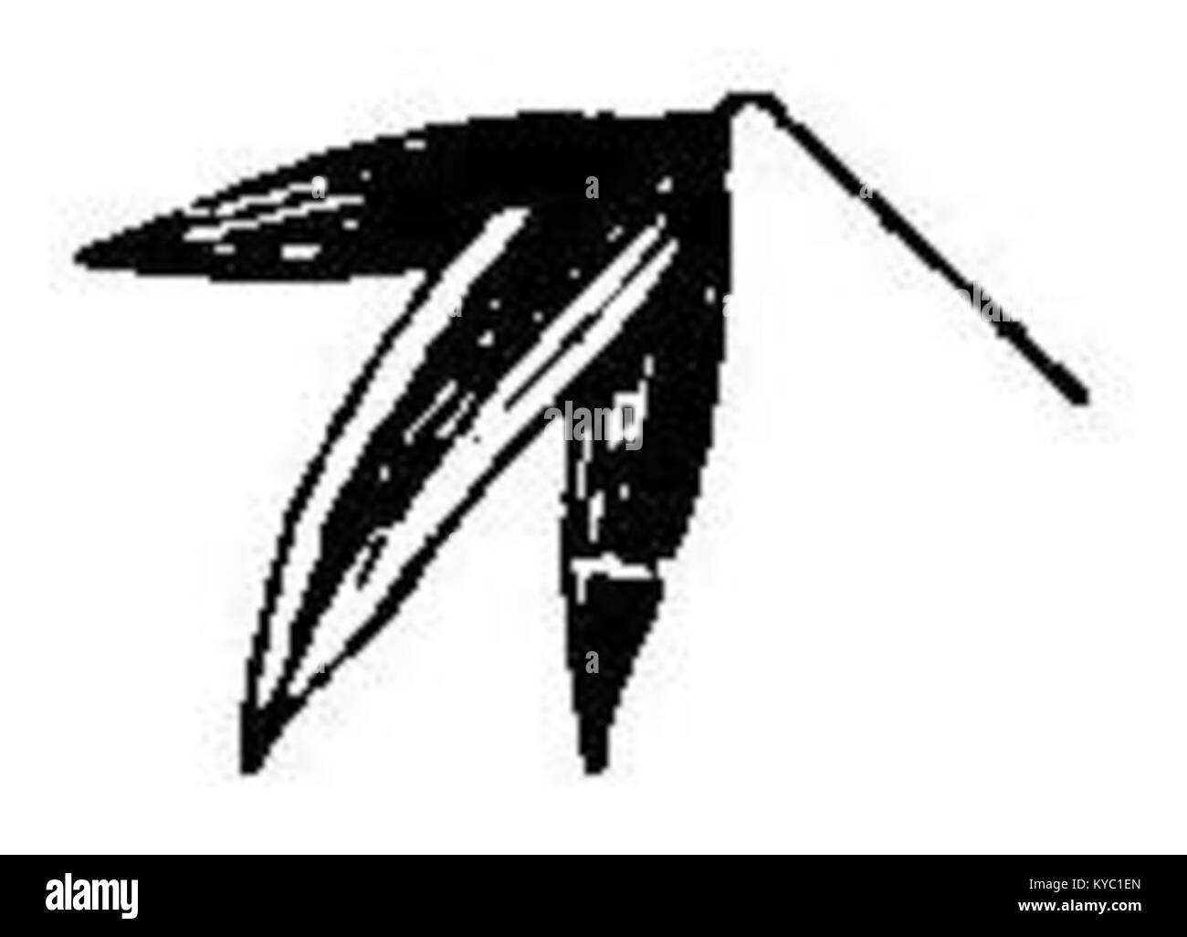 Die Reihe literarischer Werke Novelas y Fantasías von Roberto J. Payró spiegelt kreatives Erzählen und Fantasy in der lateinamerikanischen Literatur des frühen 20. Jahrhunderts wider. Stockfoto