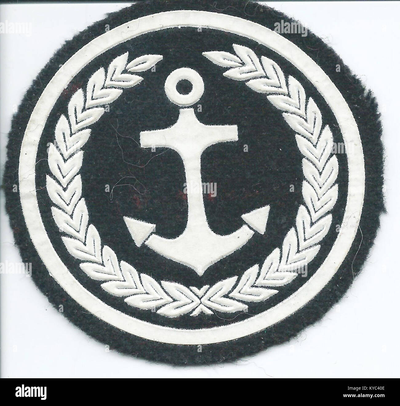 Das Abzeichen des 11. Schwimmenden Panzerbataillons (11 bczp) symbolisiert eine polnische Panzereinheit aus dem Zweiten Weltkrieg, die sich auf amphibische Operationen und Panzerkrieg spezialisiert hat. Stockfoto