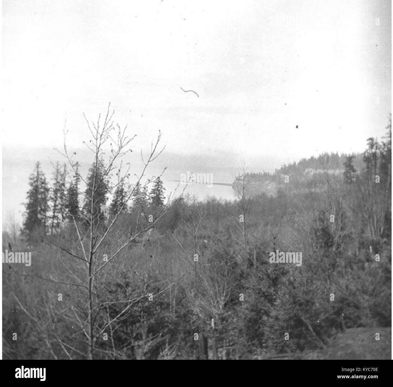 Mit Blick auf die West Point Beach, Fort Lawton, Washington, 5. März 1899 (KIEHL 173) Stockfoto