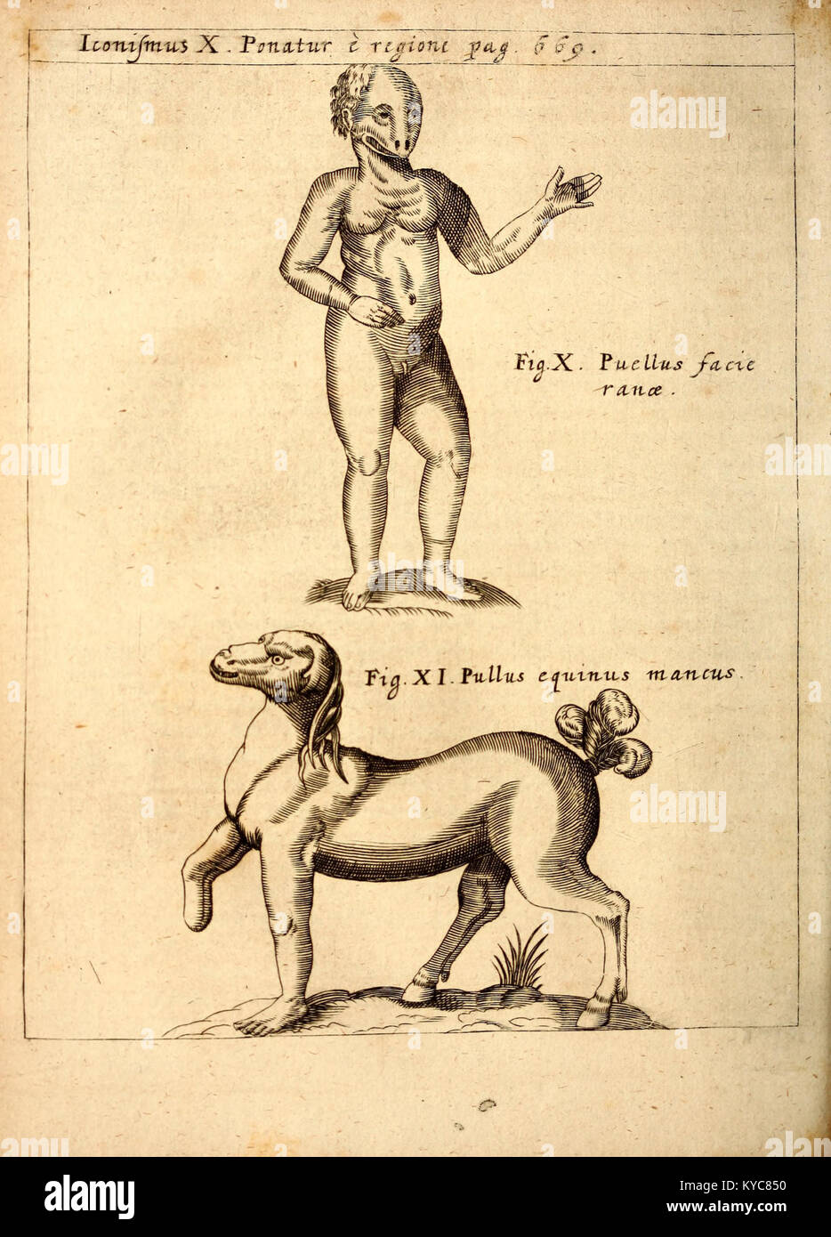 Gravur aus Gaspar Schotts Physica Curiosa, einem lateinischen enzyklopädischen Werk über natürliche und künstliche Wunder aus dem 17. Jahrhundert. Stockfoto