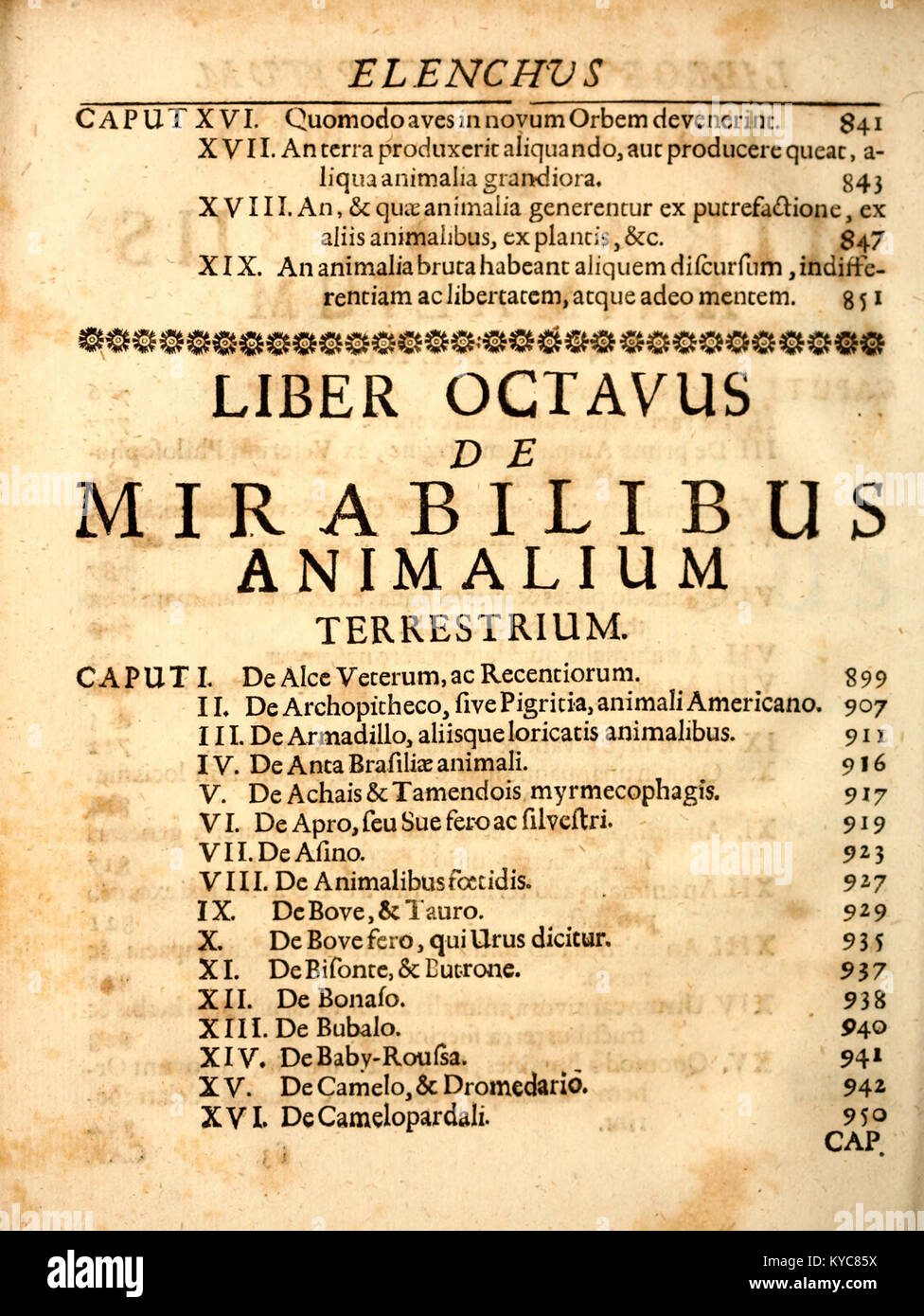 Eintrag aus „Physica Curiosa“ von P. Gasparis Schotti, der Naturphänomene, Kuriositäten und künstlerische Darstellungen in zwölf Büchern dokumentiert. Stockfoto