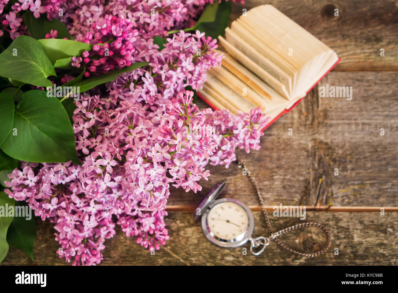 Lila Zweig auf dem Hintergrund des unscharfen und Bücher. Geringe Tiefenschärfe. Konzentrieren Sie sich auf das Zentrum von Flieder. Stockfoto