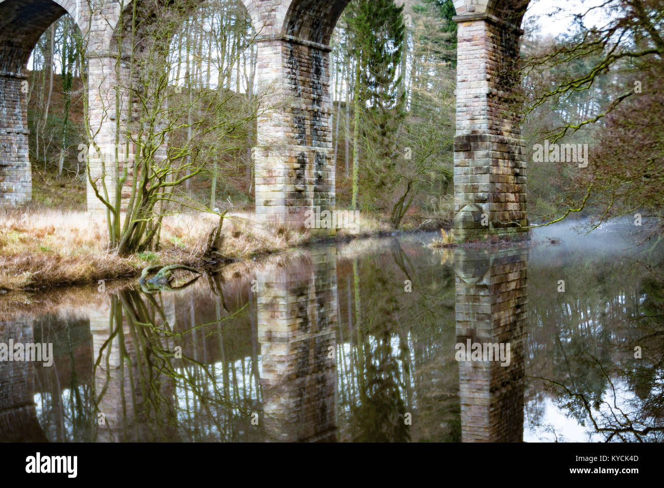 Das Nidd Viaduct in Bilton, Harrogate spiegelte sich im Fluss wider Stockfoto