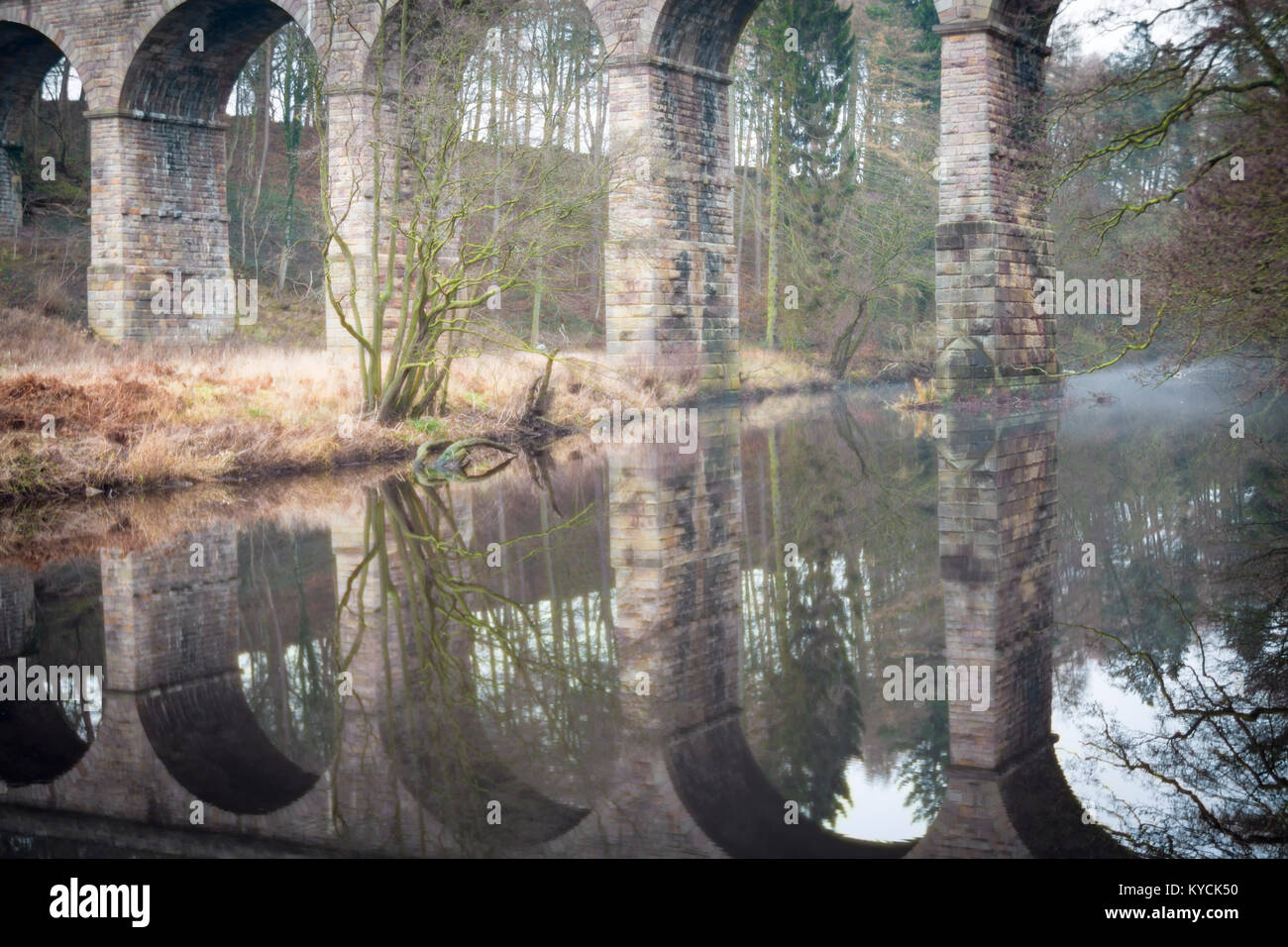 Das Nidd Viaduct in Bilton, Harrogate spiegelte sich im Fluss wider Stockfoto