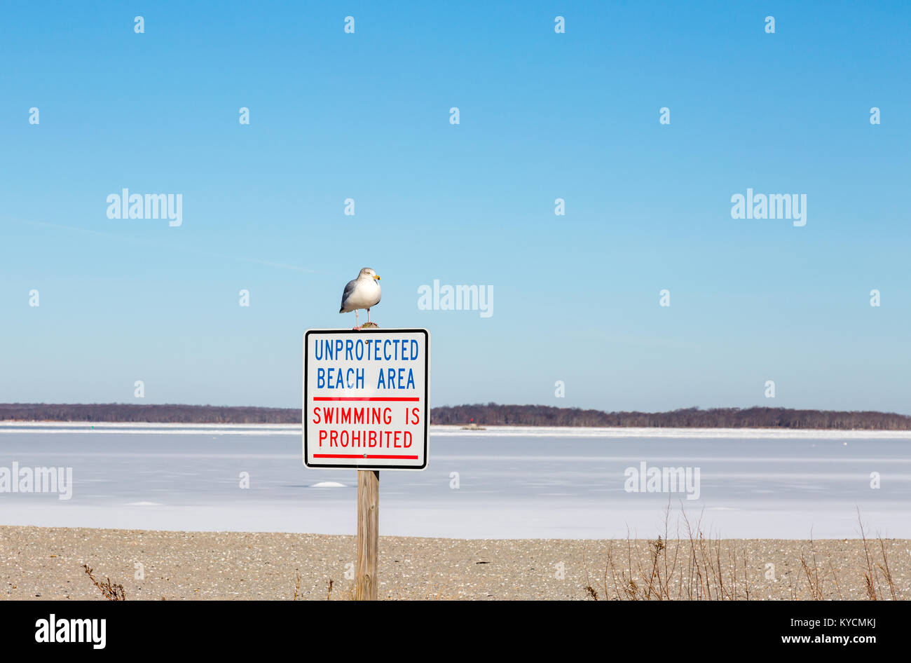 Seagull sitzen auf einem Schild auf Steueroasen Strand Sag Harbor, NY Stockfoto