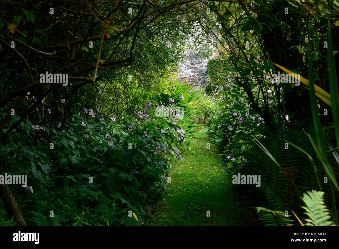 Edwardianischer formeller garten Stockfotos und bilder Kaufen Alamy