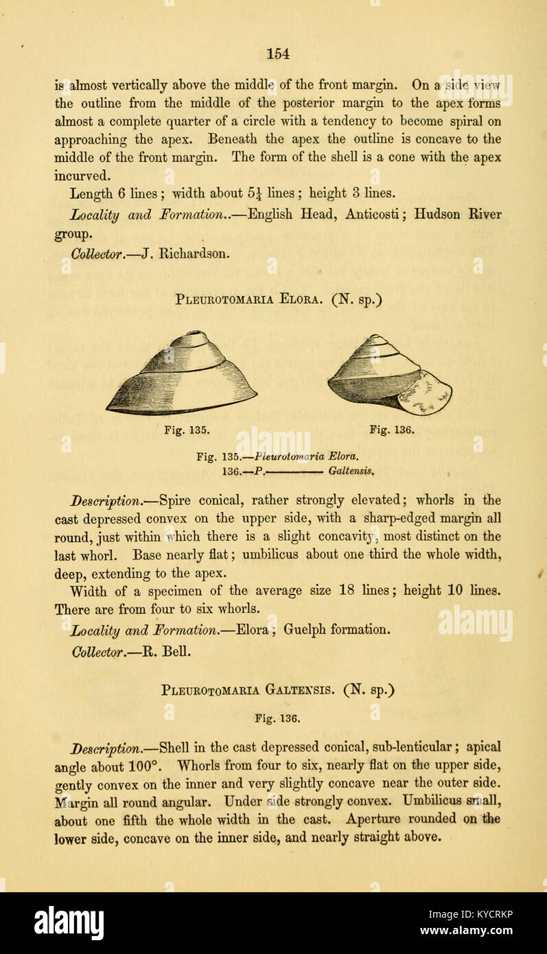 Diese Arbeit untersucht paläozoische Fossilien aus einer kritischen geologischen Periode und konzentriert sich dabei auf Präparate vom Kambrium bis zum Perm. Sie spielt eine Schlüsselrolle beim Verständnis des frühen Lebens und der paläontologischen Geschichte der Erde. Stockfoto