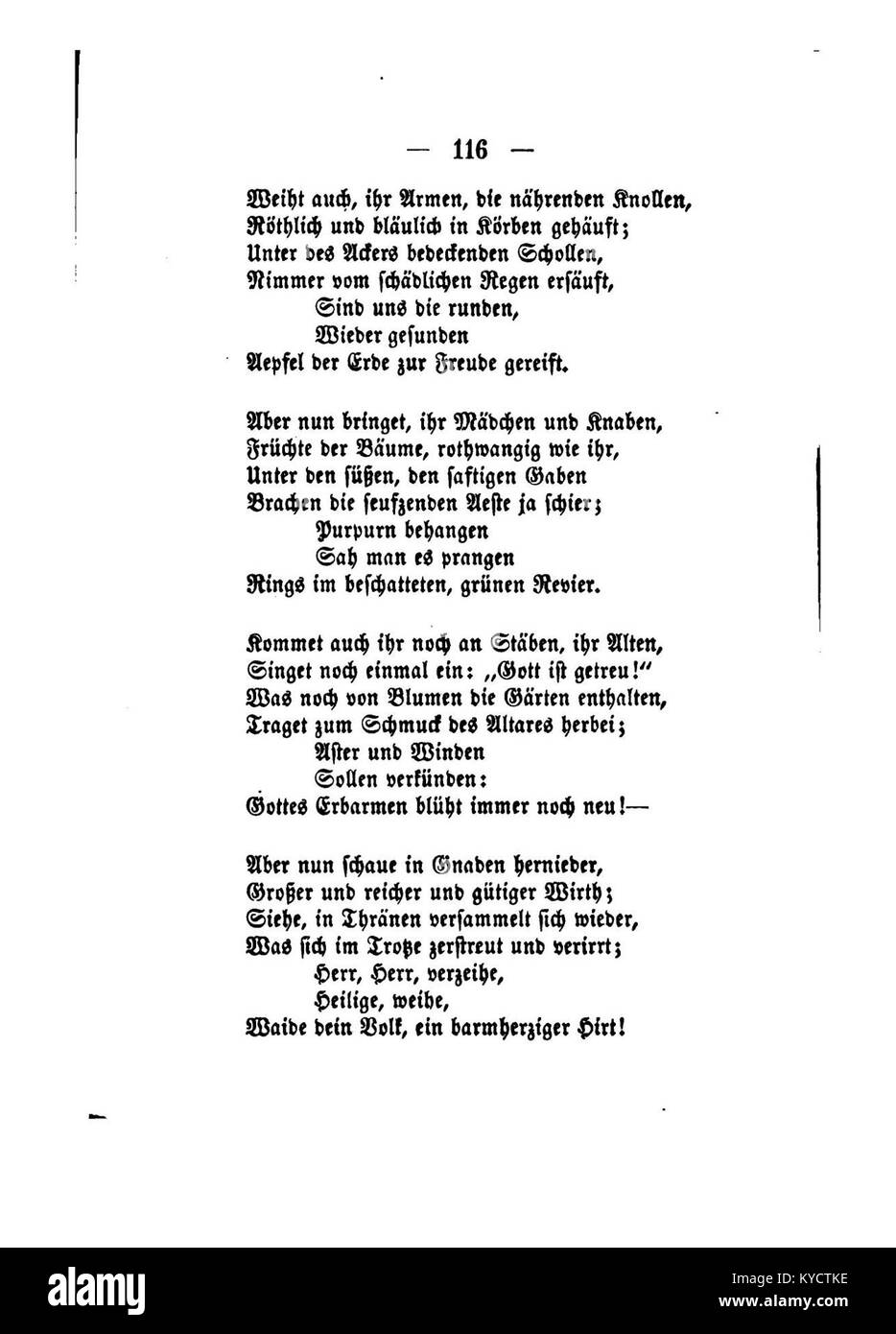 „Palmblätter (Gerok) 116“ zeigt Palmblätter mit Betonung auf Textur und komplizierte Details, die die natürliche Schönheit der Palmen in der botanischen Kunst einfangen. Stockfoto