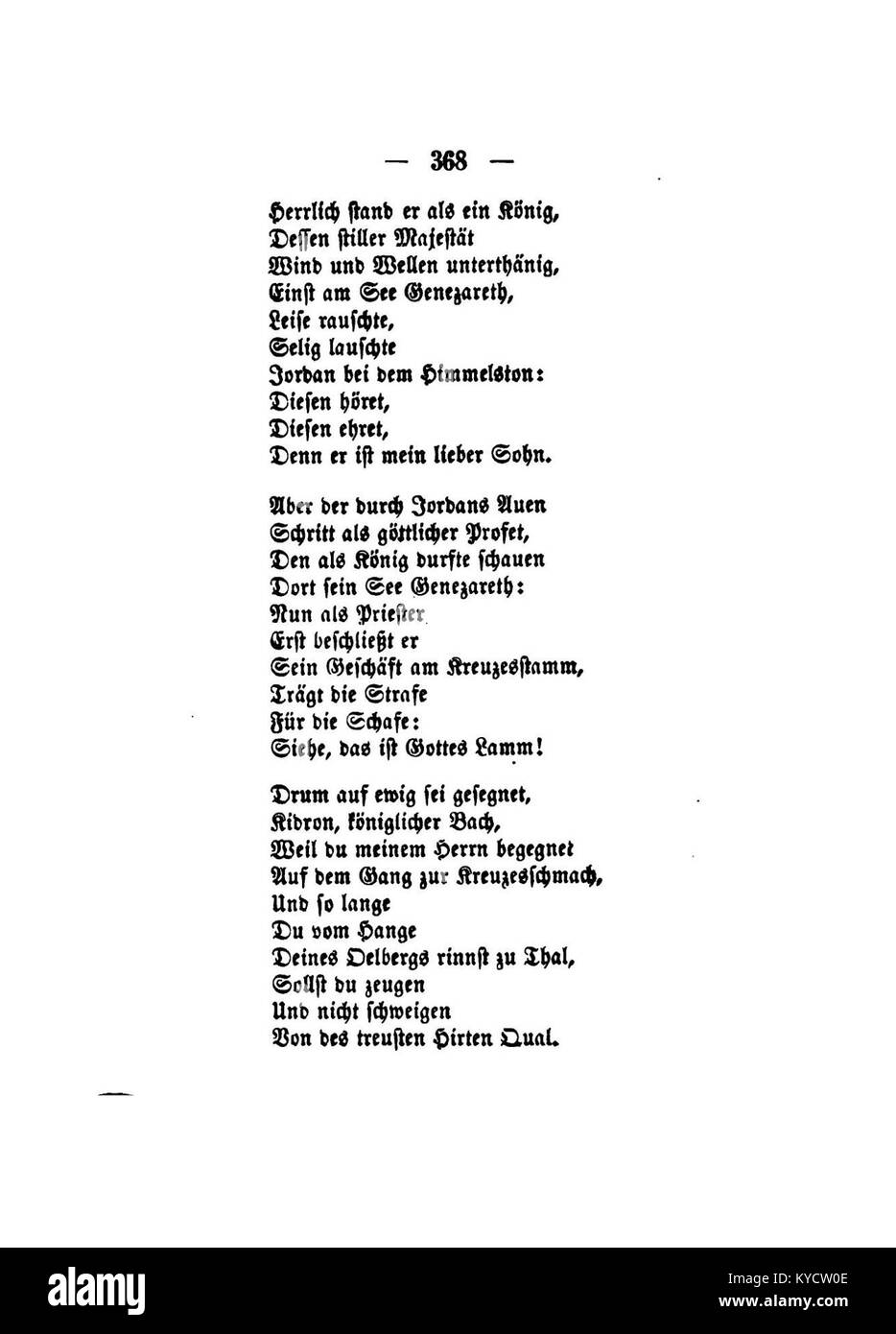 Diese botanische Studie von Gerok mit der Nummer 368 präsentiert detaillierte Bilder von mehreren Palmenarten, wobei die Blattstruktur, Oberflächenstruktur und Artenvielfalt hervorgehoben werden, um Wachstumsmuster und ökologische Funktionen von Palmenblättern zu veranschaulichen. Stockfoto