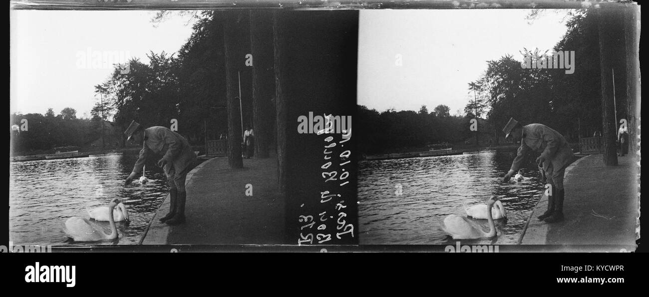 Foto vom 10. Oktober 1916 im Bois de Boulogne in Paris, das die Landschaft des Parks während des Ersten Weltkriegs erfasst und die damaligen zivilen und ökologischen Bedingungen dokumentiert. Stockfoto