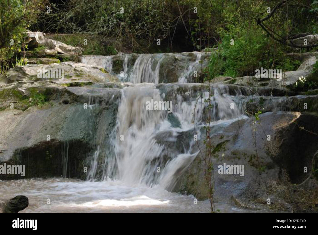 PikiWiki Israel 1081 ein Hashofet Wasserfall מפל נחל עין השופט Stockfoto