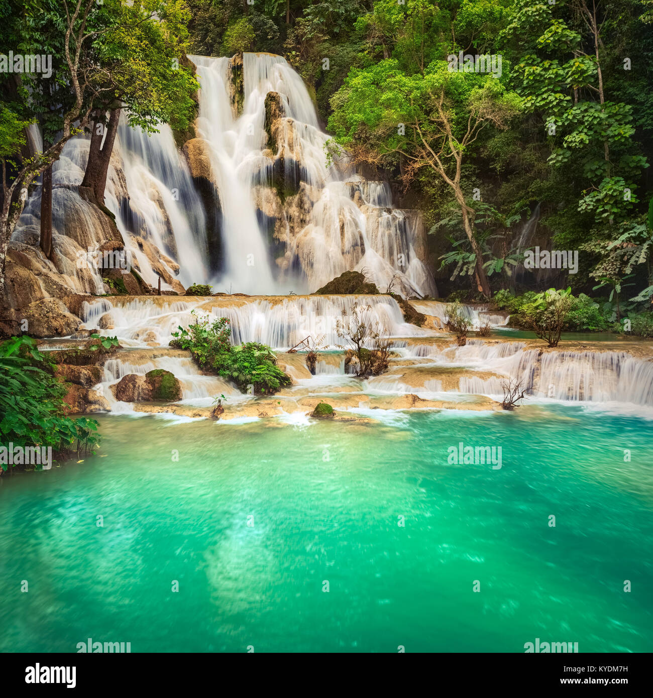 Tat Kuang Si Wasserfällen. Schöne Landschaft. Luang Prabang. Laos. Stockfoto