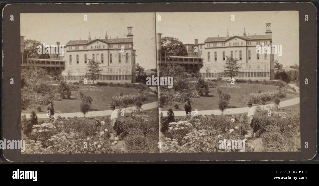 Stereoskopisches Bild einer Kunstgalerie am Mount St. Vincent, das Kunstwerke und das Innere der Galerie zeigt und eine visuelle 3D-Darstellung für Studien und Dokumentationen bietet. Stockfoto