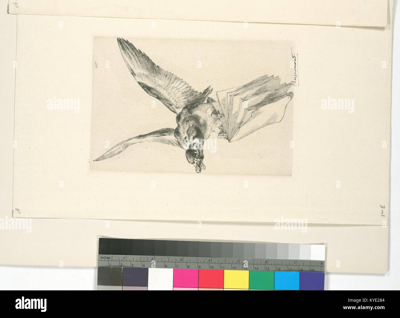 Eine Titelseite aus Les graveurs du XIXe siècle, Tomé III., mit dem Werkkatalog von Félix Bracquemond, einem prominenten französischen Kupferstecher aus dem 19. Jahrhundert. Stockfoto