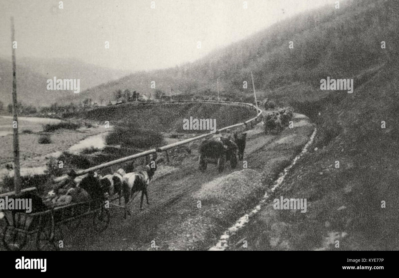 Das Bild zeigt verwundete Soldaten, die während des Konflikts von 1914 aus Molotkowo transportiert wurden, und zeigt die medizinische Evakuierung und die Bedingungen der Kriegsfürsorge auf. Stockfoto