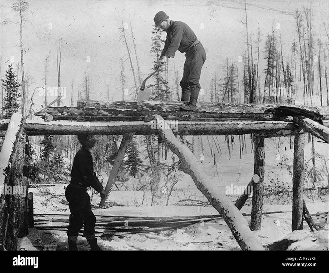 Foto von zwei Männern, die um 1898 in Bennett, British Columbia, eine Peitsche zum Holzschneiden betreiben, um die frühen Holzeinschlagstechniken und Arbeitspraktiken in der Region zu veranschaulichen. Stockfoto