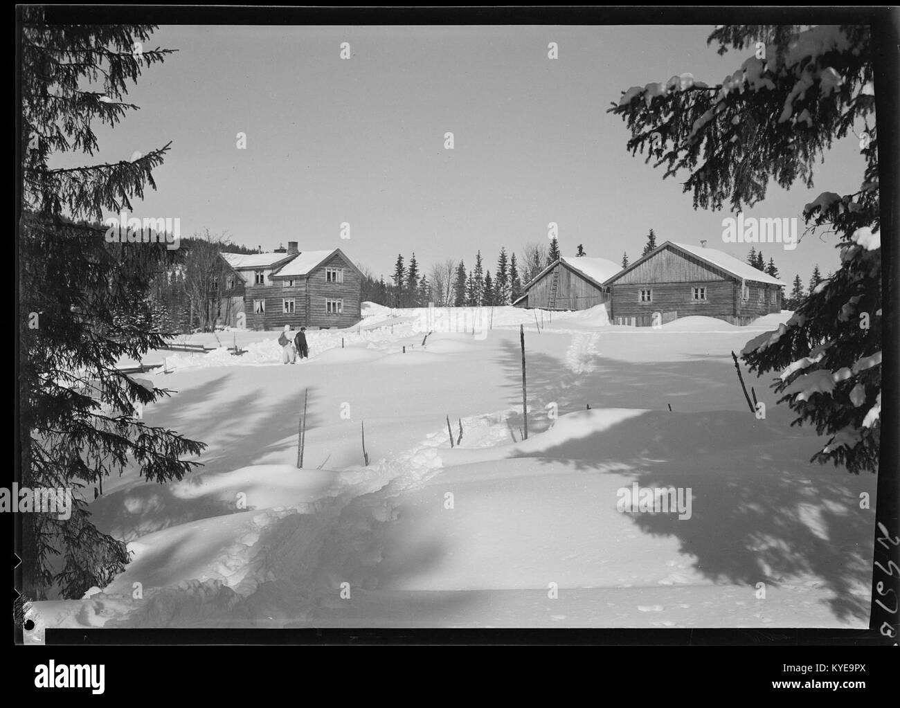 Ein Foto aus dem Jahr 2015, das einen norwegischen Bauernhof zeigt, der ländliche Gebäude, Felder und die natürliche Umgebung zeigt, die charakteristisch für die traditionelle Landwirtschaft in Norwegen ist. Stockfoto