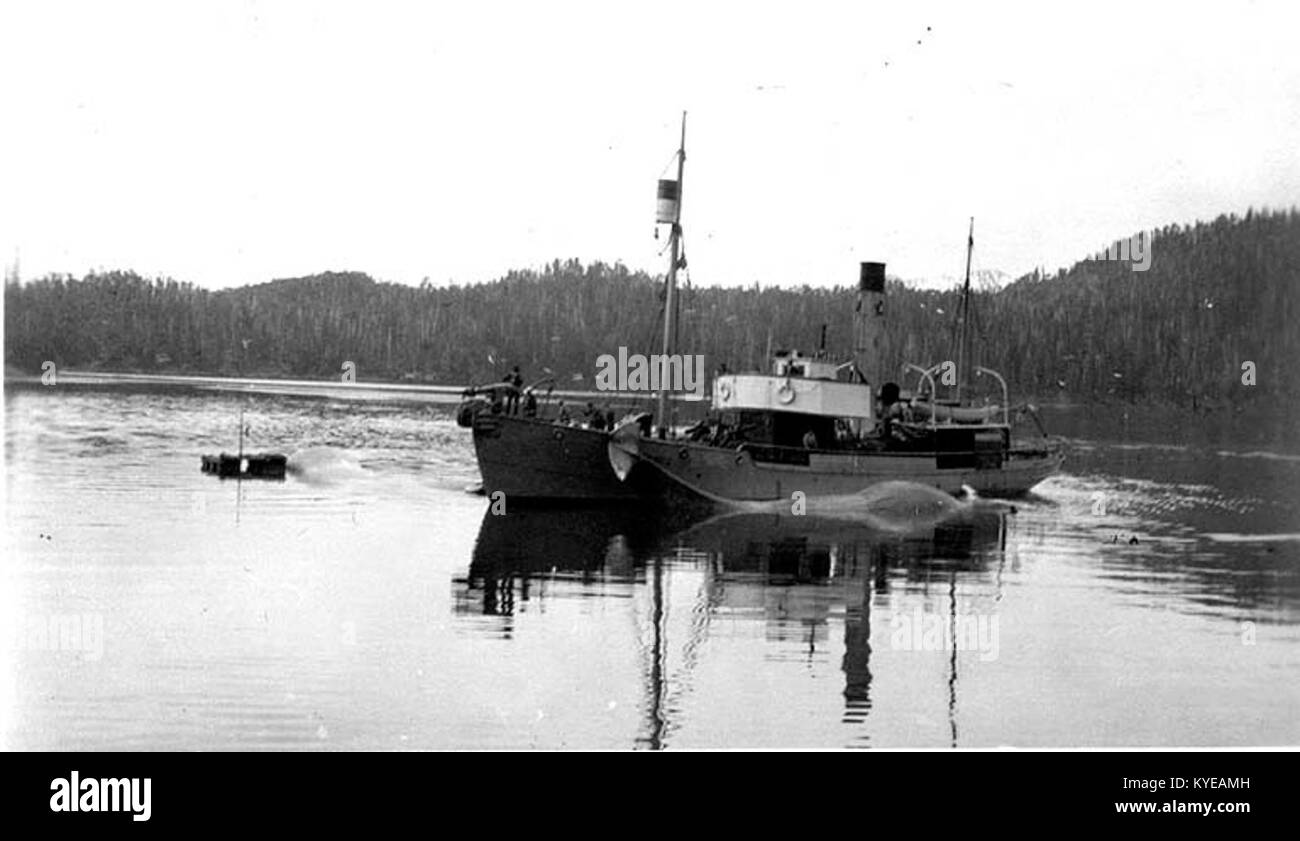 Dieses Foto zeigt ein nicht identifiziertes Walfangschiff vor der Küste Alaskas um 1915, das die maritime Geschichte, die Walfangindustrie und die kommerzielle maritime Aktivität des frühen 20. Jahrhunderts widerspiegelt. Stockfoto