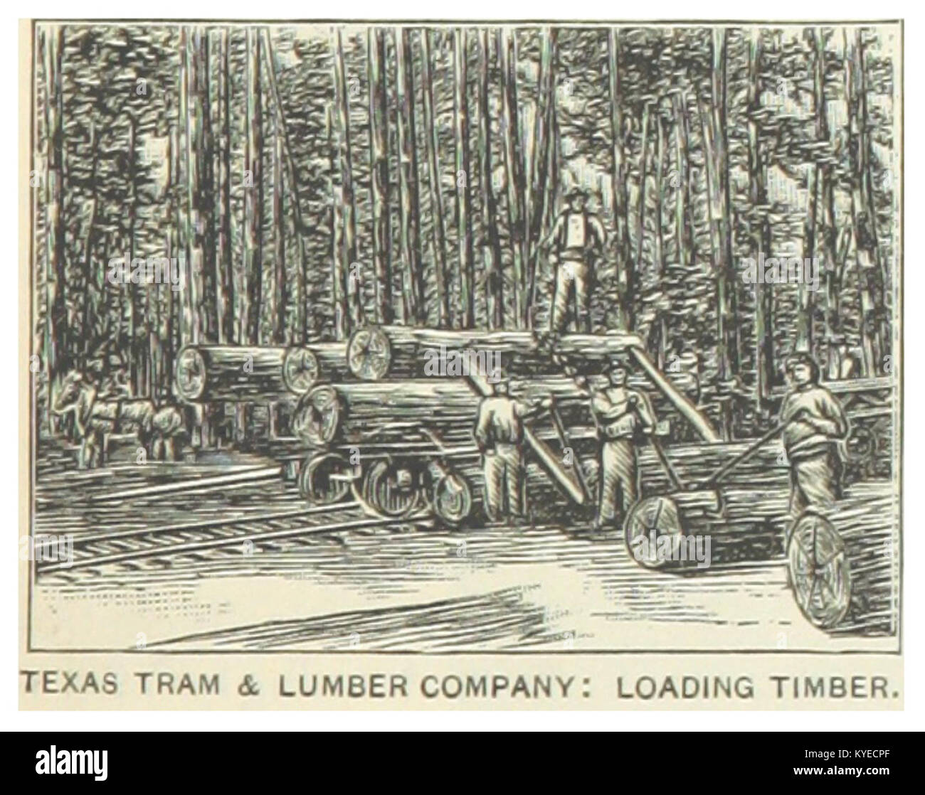 Ein Bild aus dem Jahr 1891, das die Arbeiter der Texas Tram & Lumber Company beim Verladen von Holz zeigt, zeigt Holzeinschlag und industrielle Transportmethoden aus dem 19. Jahrhundert in Texas. Stockfoto